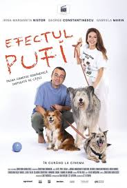 Efectul Pufi